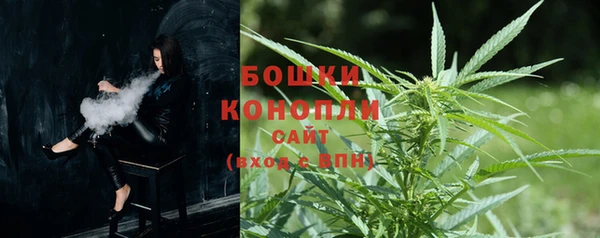 твердый Коряжма