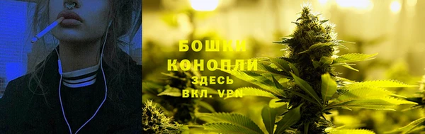 ГАЛЛЮЦИНОГЕННЫЕ ГРИБЫ Аркадак