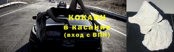 ГАЛЛЮЦИНОГЕННЫЕ ГРИБЫ Аркадак