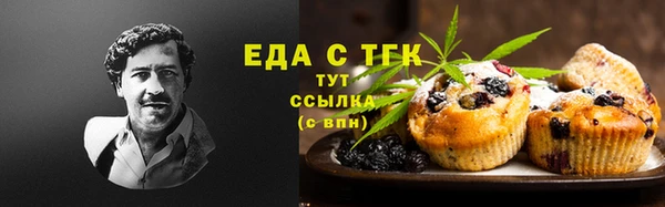 ГАЛЛЮЦИНОГЕННЫЕ ГРИБЫ Аркадак