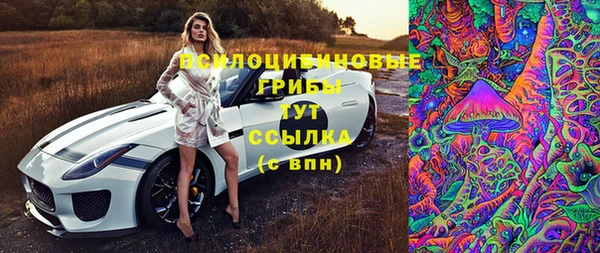 ГАЛЛЮЦИНОГЕННЫЕ ГРИБЫ Аркадак